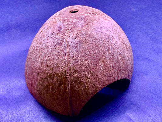Natural Coconut Shell - Fish Hide Cave
