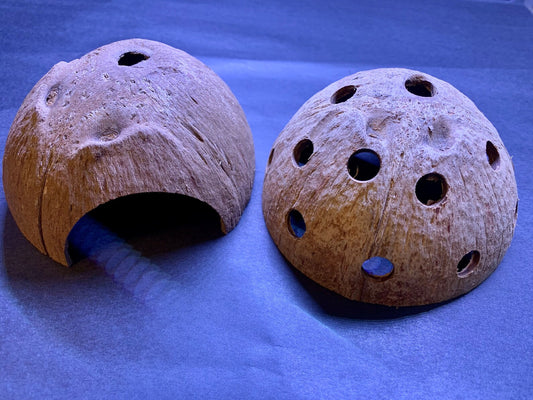 Natural Coconut Shell ~ Fish & Shrimp Hide Cave