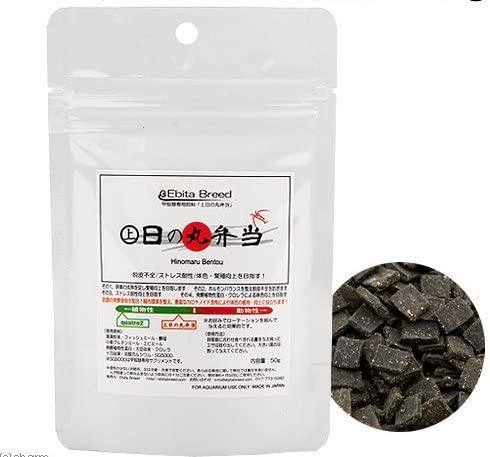 Ebita Breed Jo Hinomaru Bentou