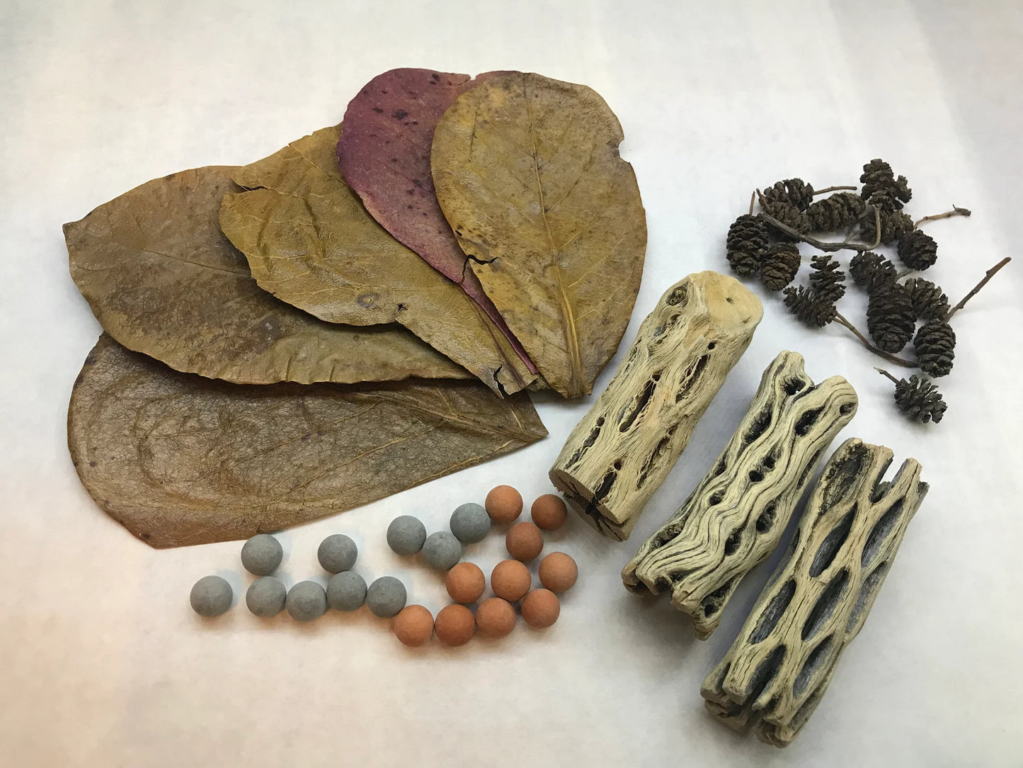 Indian Almond Leaves x5, Mineral Balls x10, Red Bee Balls x10, Cholla Wood x3, Alder Cones x15