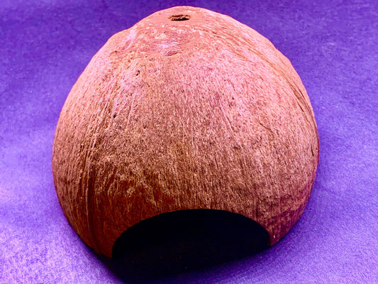 Natural Coconut Shell - Fish Hide Cave