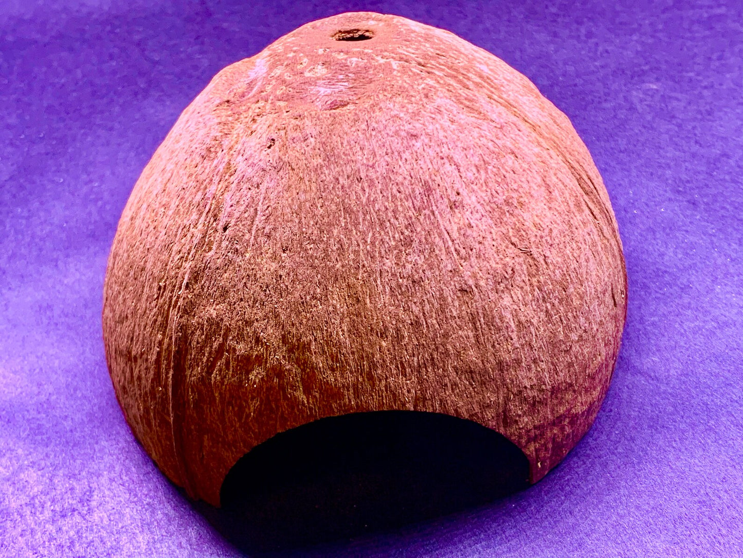 Natural Coconut Shell ~ Fish & Shrimp Hide Cave