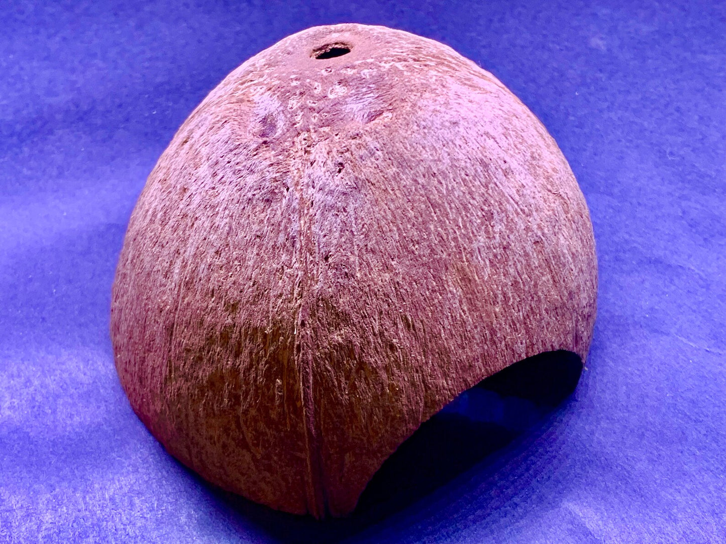 Natural Coconut Shell ~ Fish & Shrimp Hide Cave