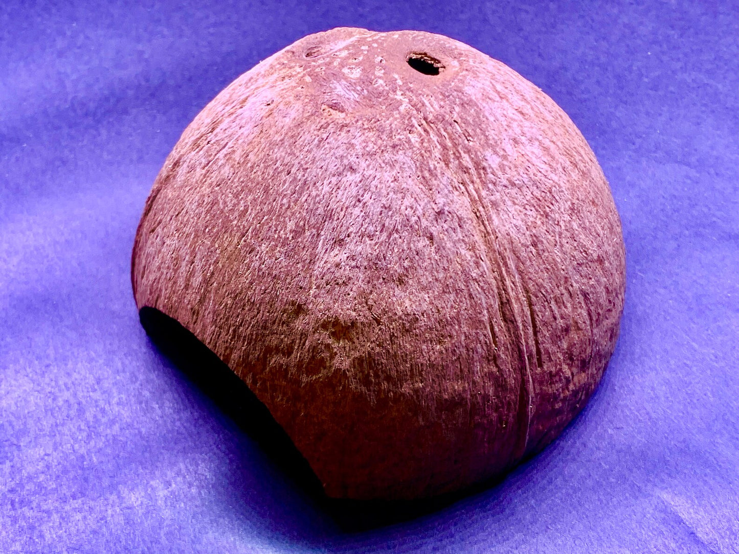 Natural Coconut Shell ~ Fish & Shrimp Hide Cave