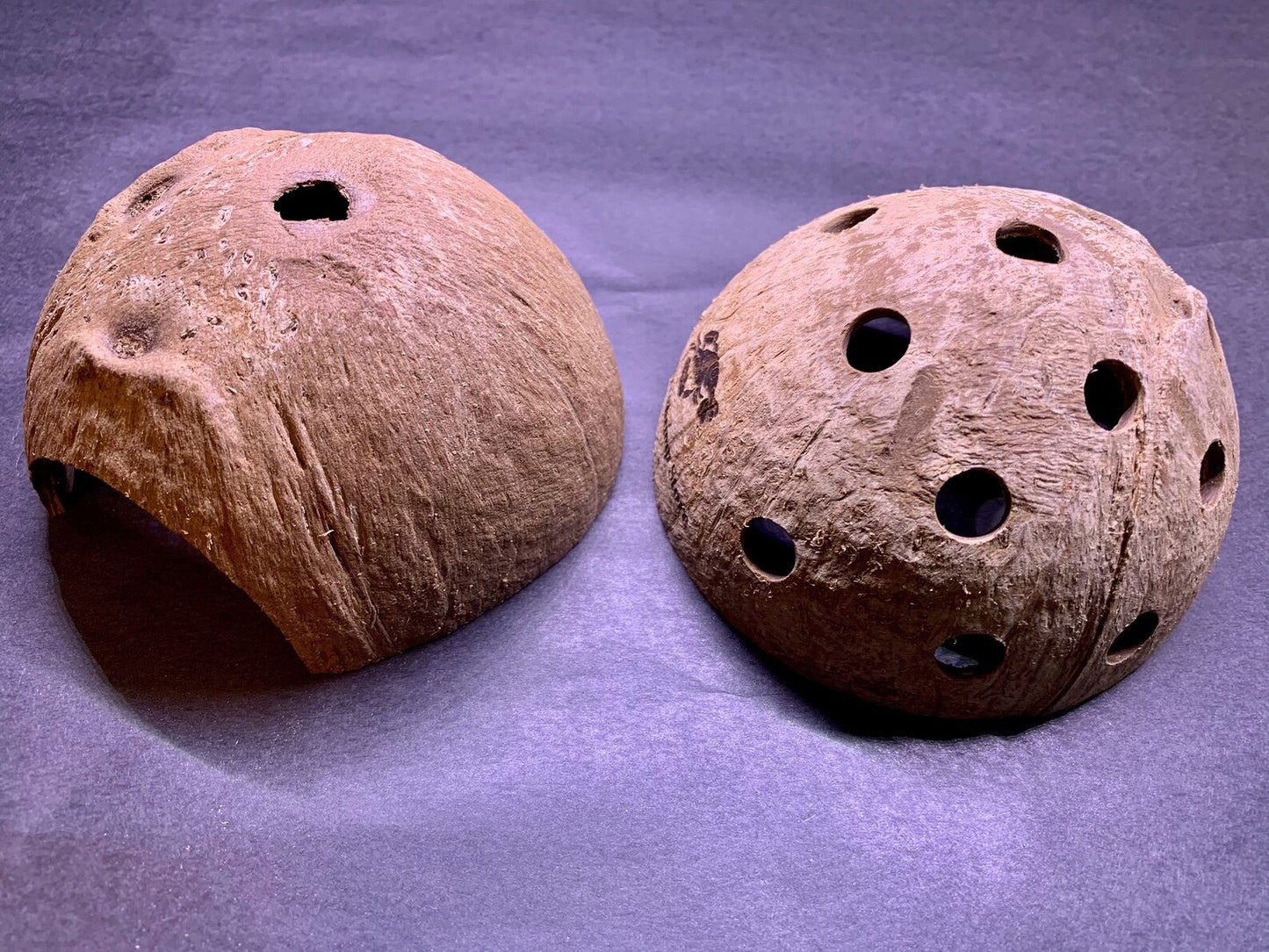 Natural Coconut Shell ~ Fish & Shrimp Hide Cave