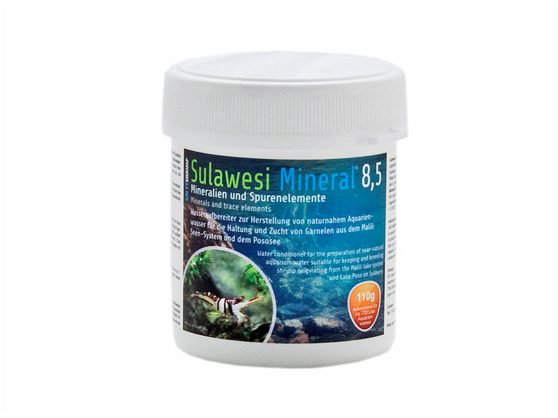 Salty Shrimp Sulawesi Mineral 8,5