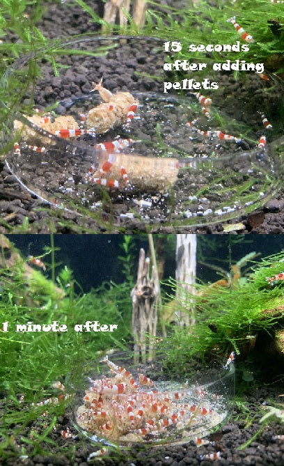 Barley Pellets - Shrimp Food