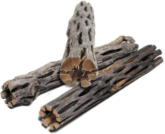 Cholla Wood 6''