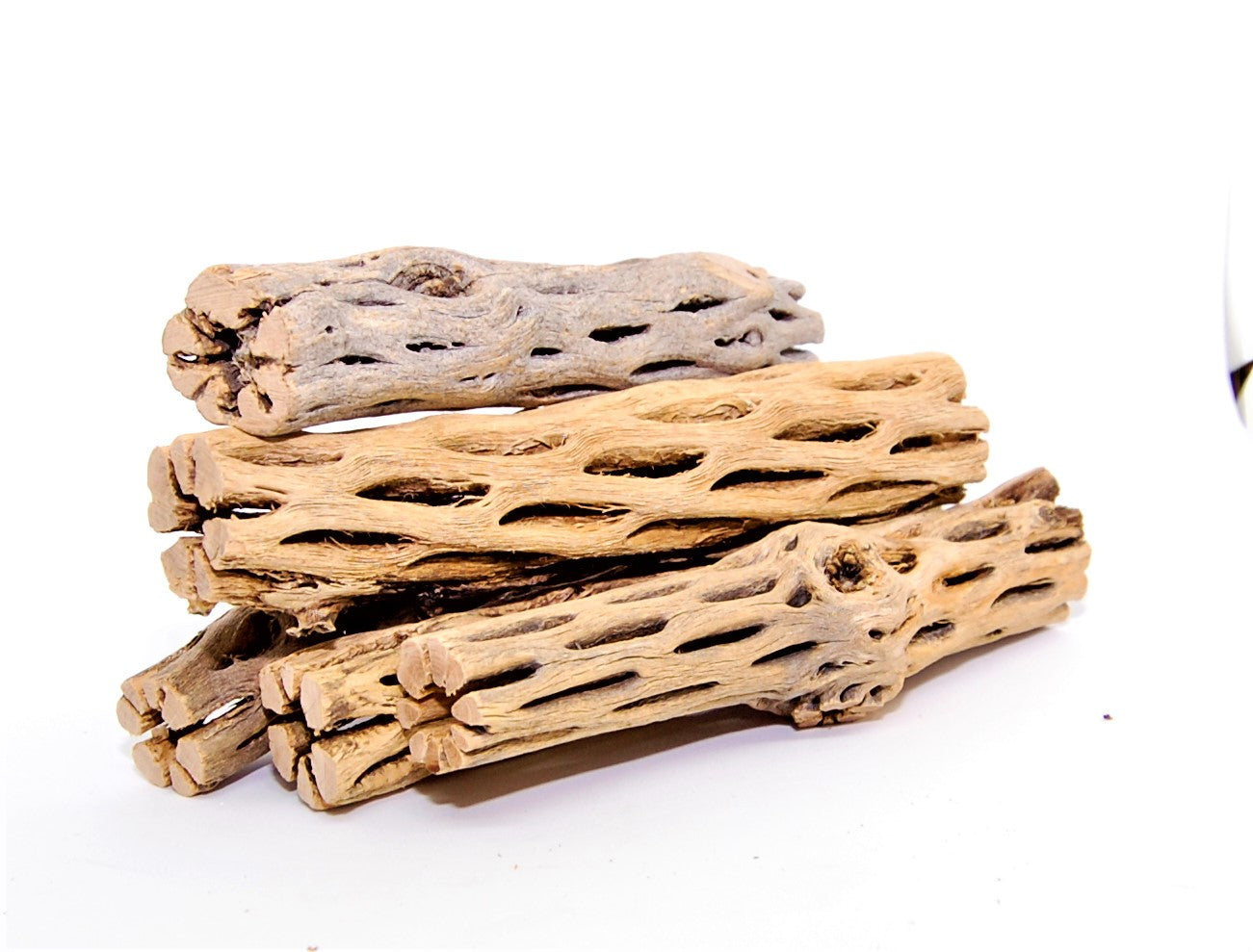 3 Cholla Wood Nano Pieces