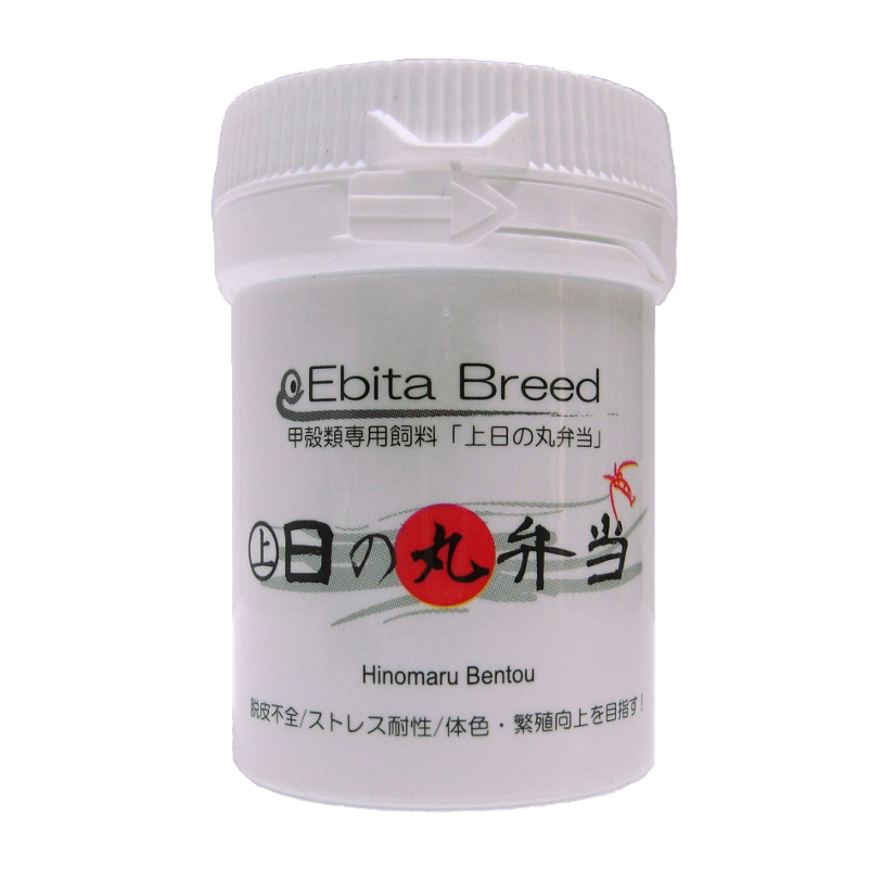 Ebita Breed Jo Hinomaru Bentou