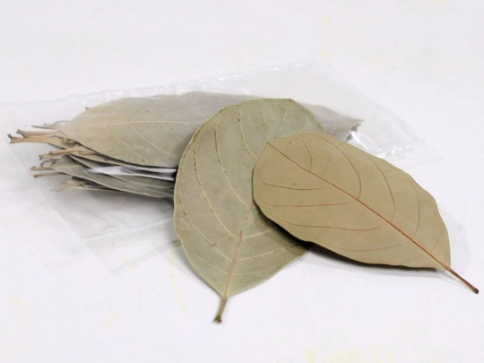 Jackfruit Leaves