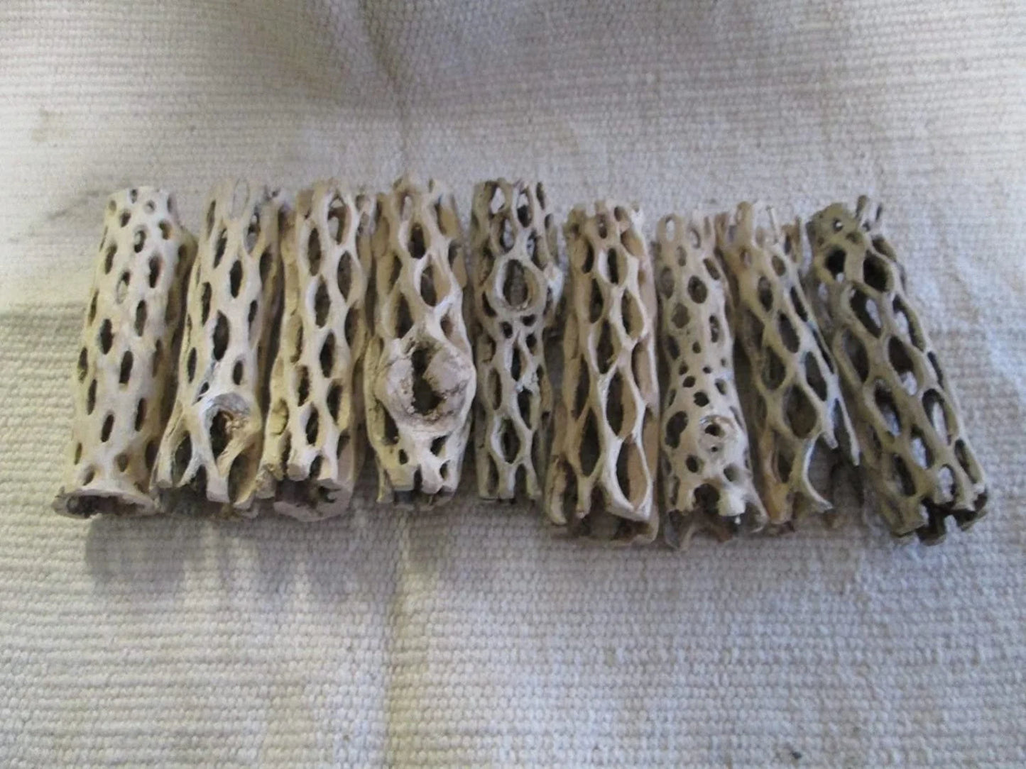 3 Cholla Wood Nano Pieces