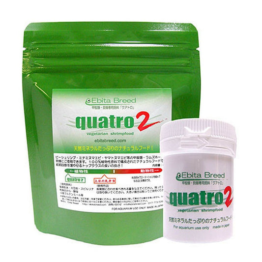 Ebita Breed Quatro 2