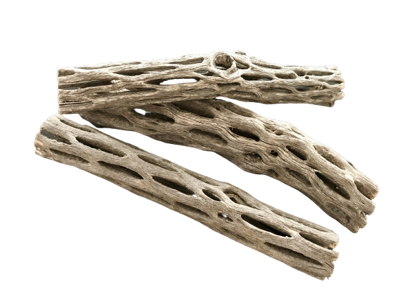 Cholla Wood 6''